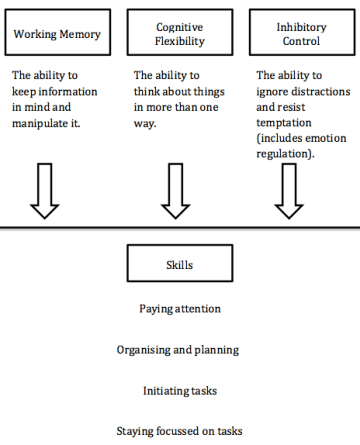 What is Working Memory? – The Emotional Learner